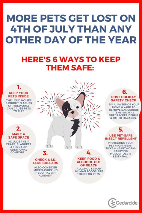 Fourth of July is ruff for pets. Here's how to keep them safe on the holiday